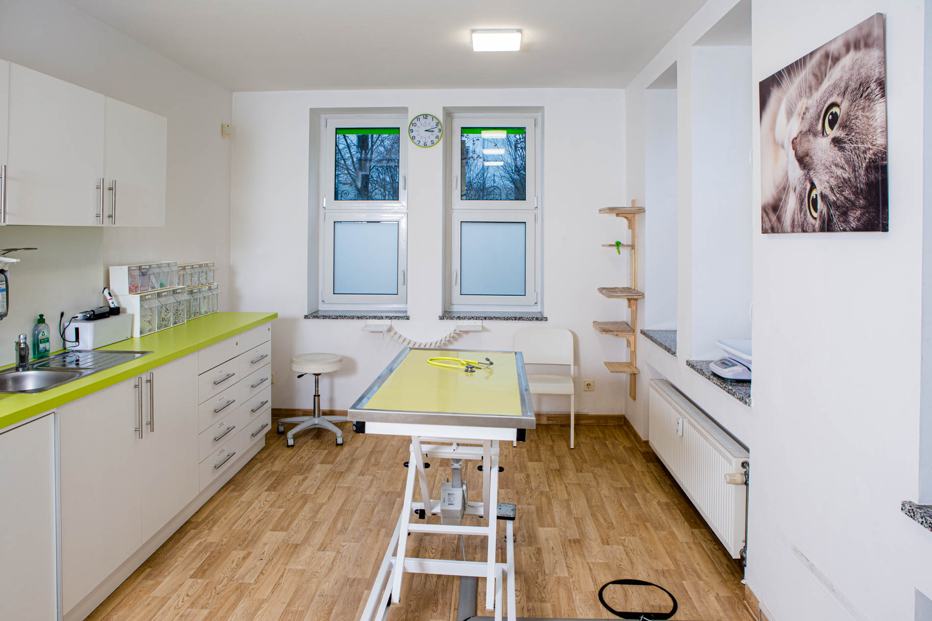 Behandlungsraum beim Tierarzt