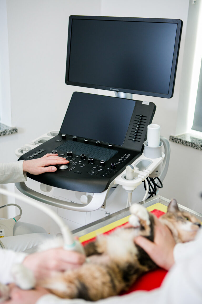 Portfolio - Authentische Businessfotografie mit Charakter